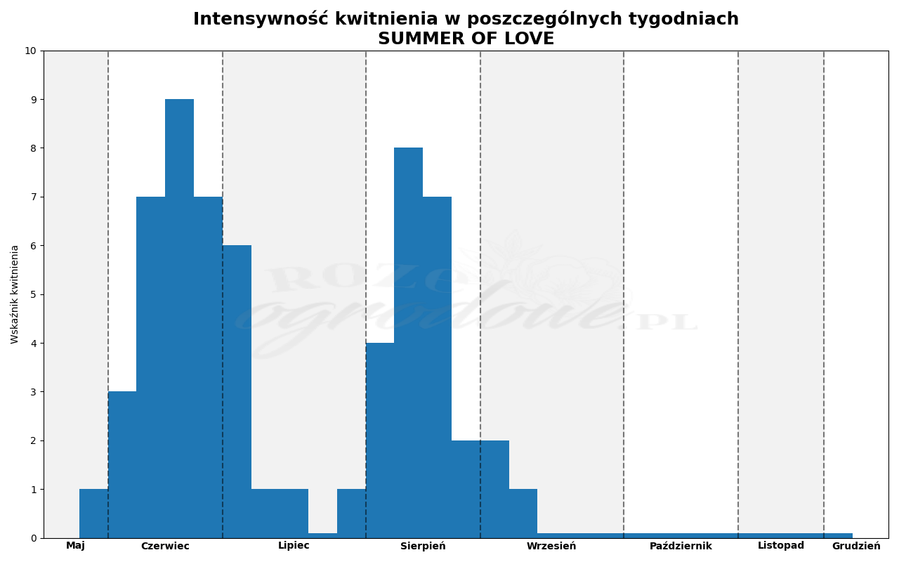 Wykres kwitnienia zrobiony na podstawie obserwacji 3-letnich krzewów w sezonie 2025 w Więckowicach w gminie Wojnicz.