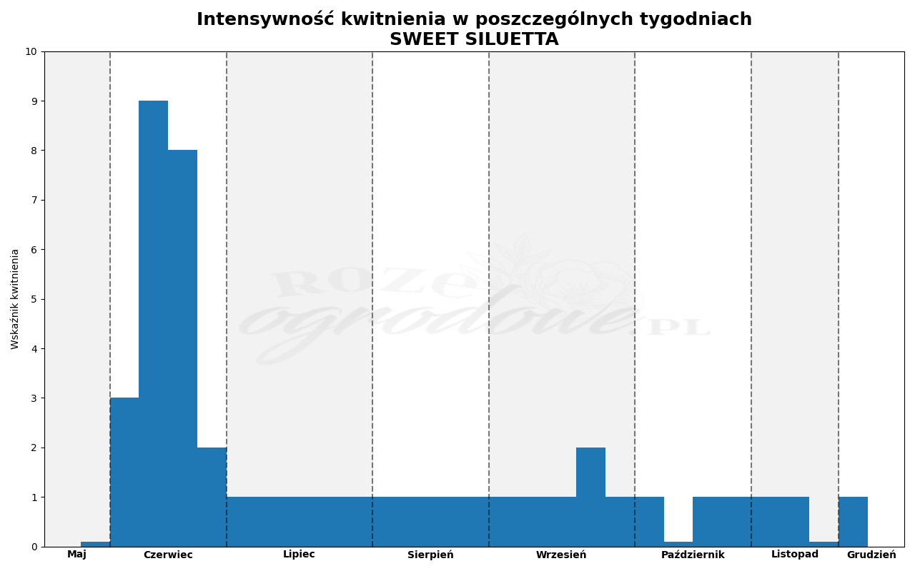 Wykres zrobiony na podstawie obserwacji 3-letnich krzewów w sezonie 2025 w Więckowicach w gminie Wojnicz.