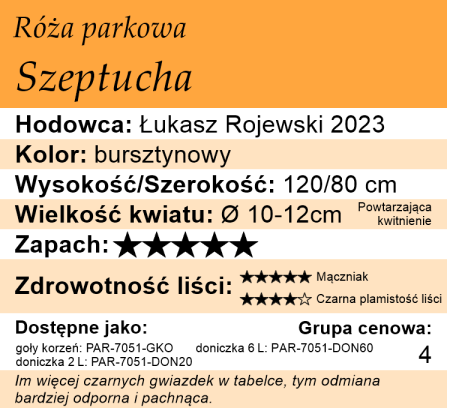 cechy róży Szeptucha