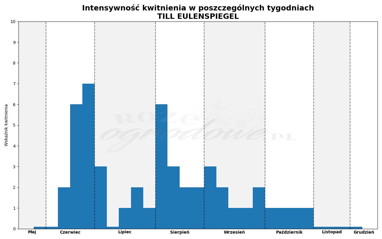 Wykres kwitnienia zrobiony na podstawie obserwacji 3-letnich krzewów w sezonie 2025 w Więckowicach w gminie Wojnicz.