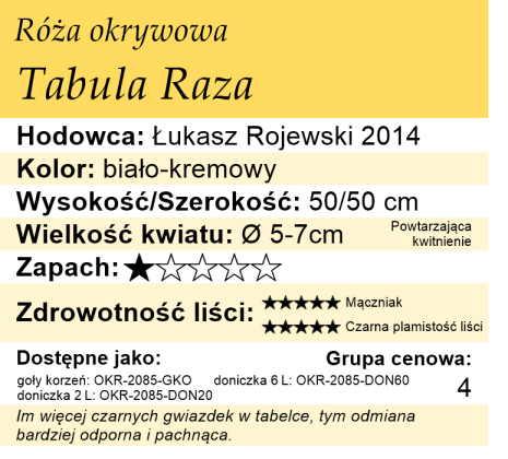 Cechy róży okrywowej Tabula Raza
