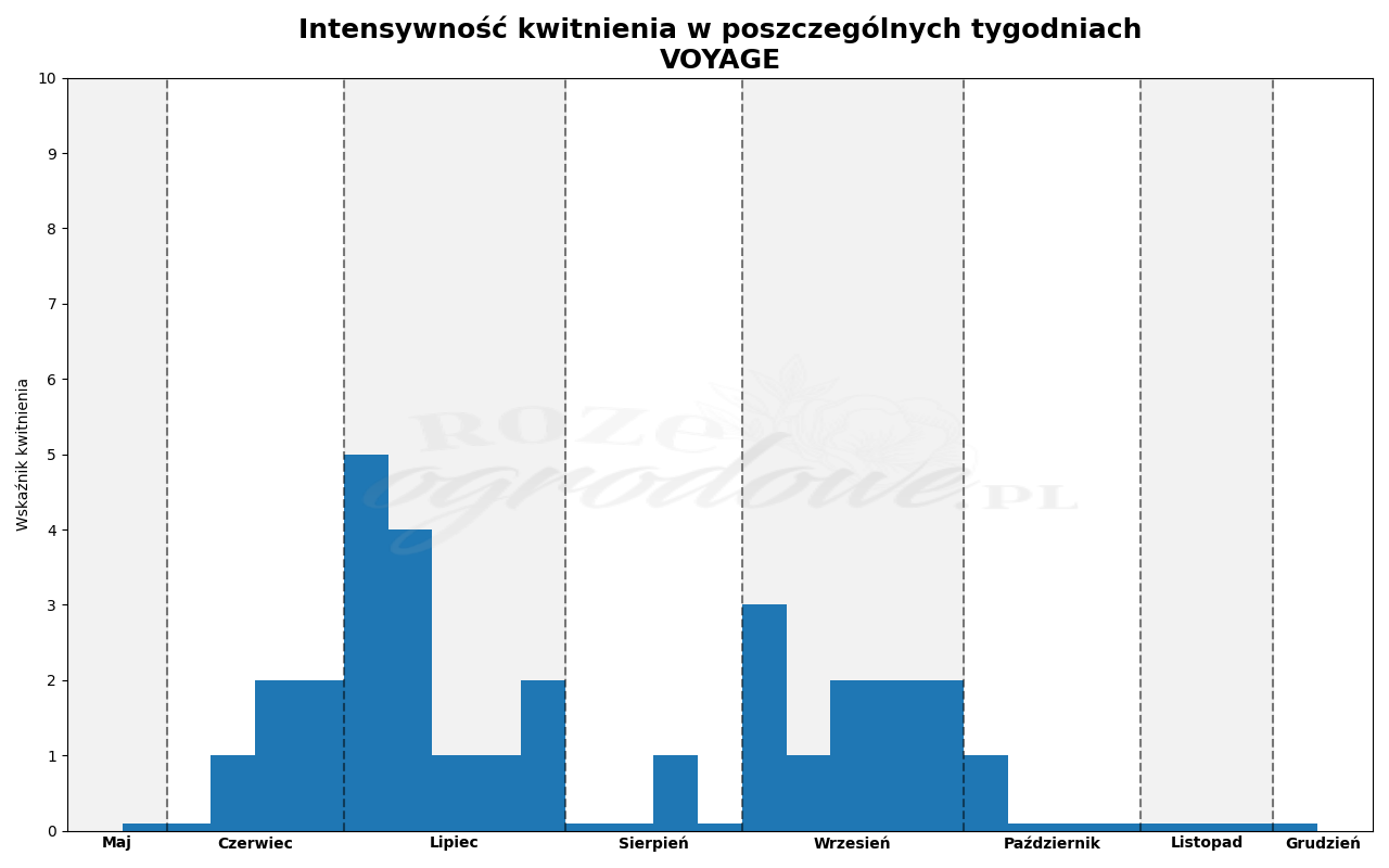 Wykres kwitnienia zrobiony na podstawie obserwacji 3-letnich krzewów w sezonie 2025 w Więckowicach w gminie Wojnicz.