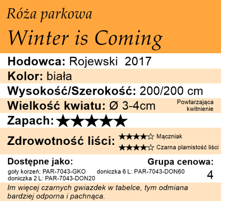 Cechy róży Winter is Coming