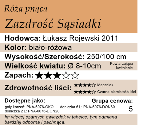 Cechy róży pnącej Zazdrość Sąsiadki
