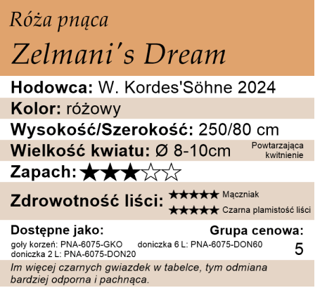 Cechy róży pnącej Zelmani's Dream