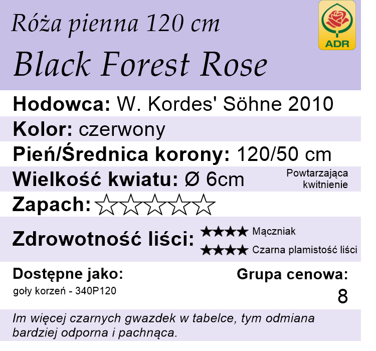 cechy róży piennej Black Forest Rose