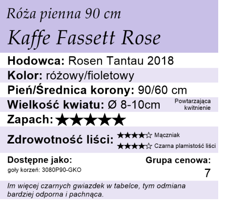 cechy róży piennej Kaffe Fasset Rose