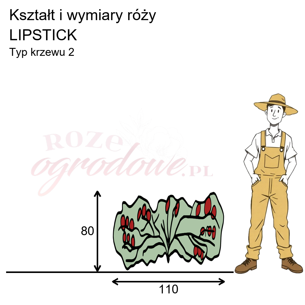 pokrój róży lipstic