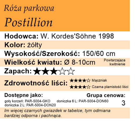 Cechy róży parkowej Postillion