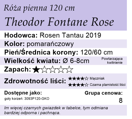 Wykres kwitnienia zrobiony na podstawie obserwacji 3-letnich krzewów w sezonie 2025 w Więckowicach w gminie Wojnicz.