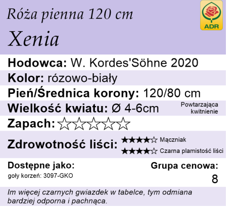 Xenia 120cm