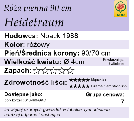 Cechy odmiany róży piennej Heidetraum