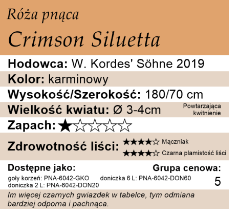 cechy róży pnącej Crimson Siluetta