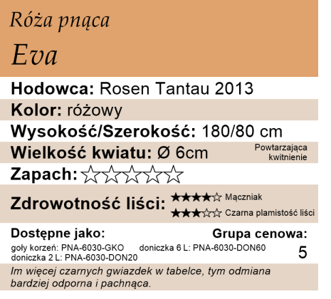 cechy róży pnącej Eva