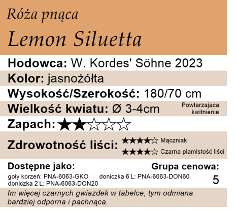 cechy róży pnącej Lemon Siluetta