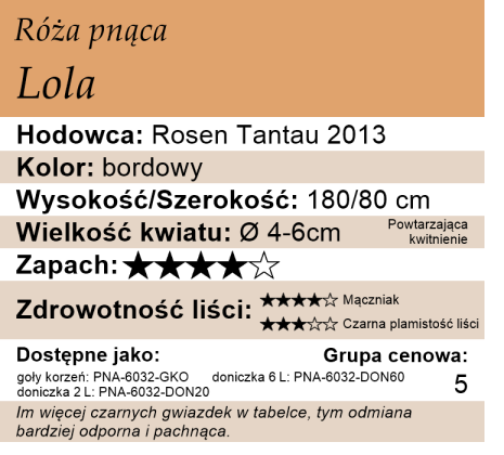 cechy róży pnącej Lola