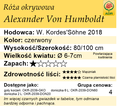 cechy róży miniaturowej Alexander Von Humboldt