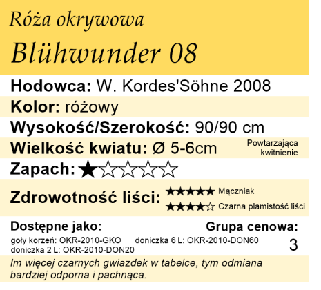 cechy róży okrywowej Bluhwunder