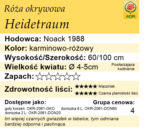 cechy róży okrywowej Heidetraum