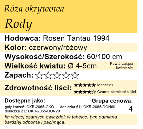 cechy róży okrywowej Rody