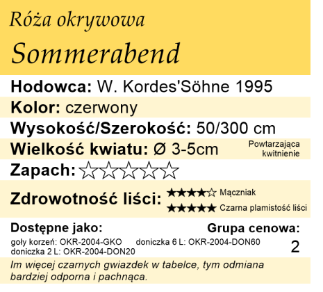 cechy róży Sommerabend