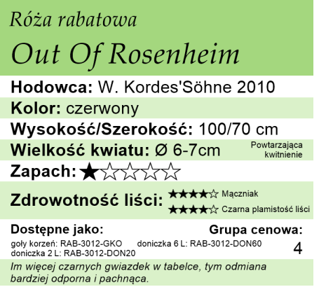 cechy róży rabatowej Out Of Rosenheim