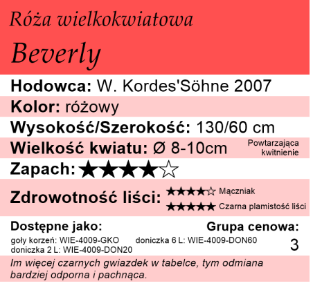 cechy róży wielkokwiatowej Beverly